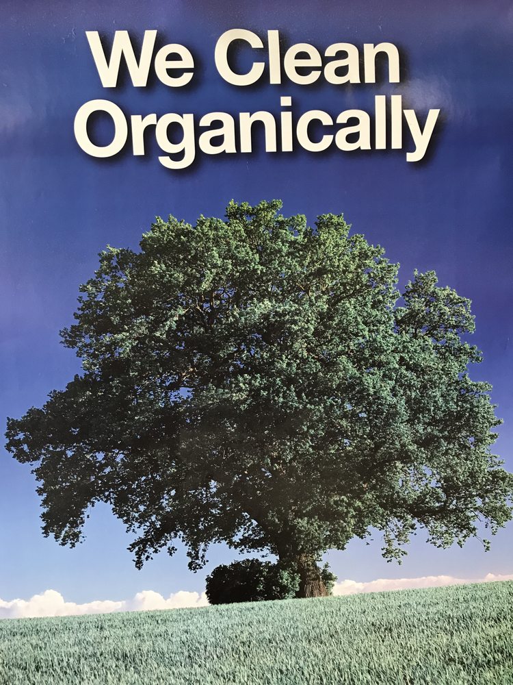 ANDREWS DRY CLEANERS Updated September 2024 17 Reviews 9518