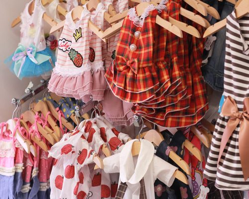 Dogue Grooming & Pet Boutique by null