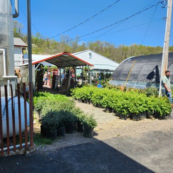 380 Auction Discount Warehouse - Discount Store Near Me - Murrysville, Pennsylvania 380 Auction Discount Warehouse - Discount Store Near Me - Murrysville, Pennsylvania