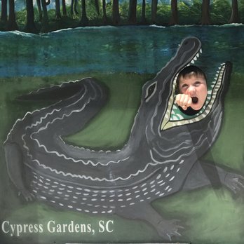 Cypress Gardens - Having fun - Parks Near Me - Moncks Corner, South Carolina Cypress Gardens - Having fun - Parks Near Me - Moncks Corner, South Carolina