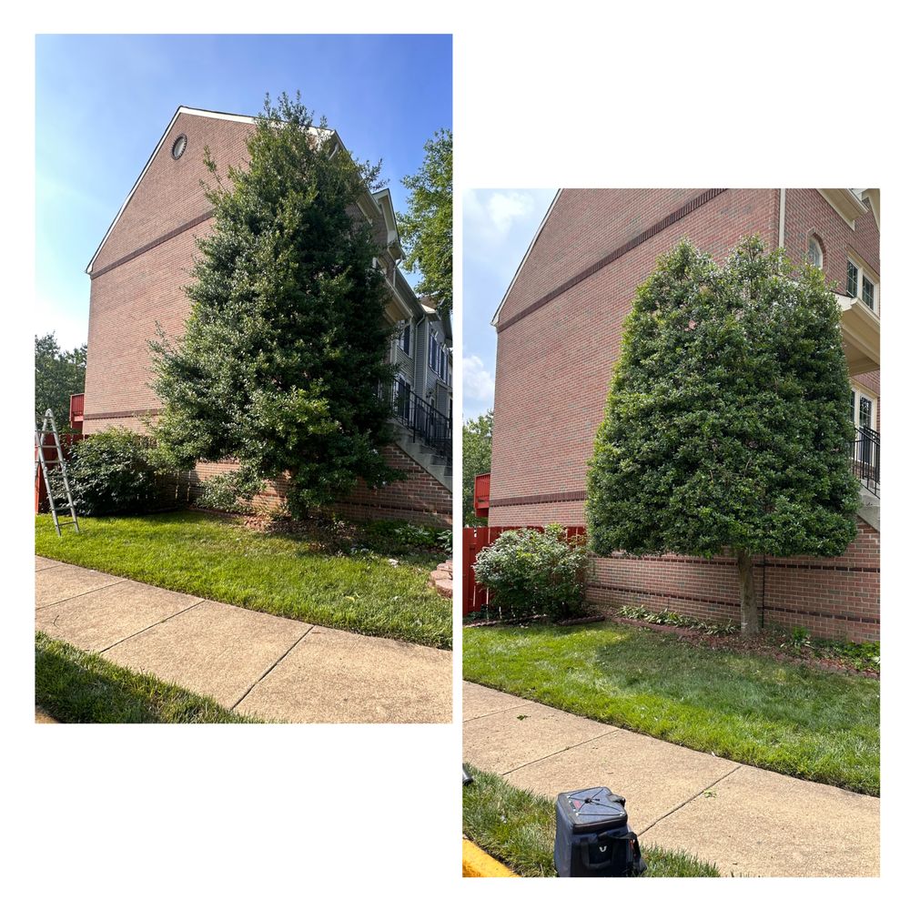 Slide of John’s Services