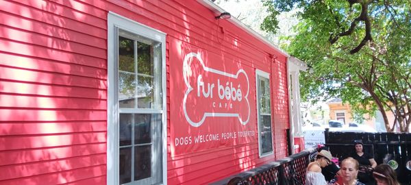 Fur Bébé Cafe by null