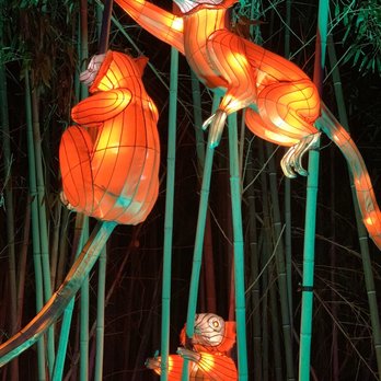 Bronx Zoo - Best family show in NYC with a cup of hot chocolate. - Zoos Near Me - Bronx, New York