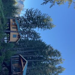 Skamania Lodge - Treehouses!