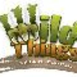 Wild things Wildlife Control