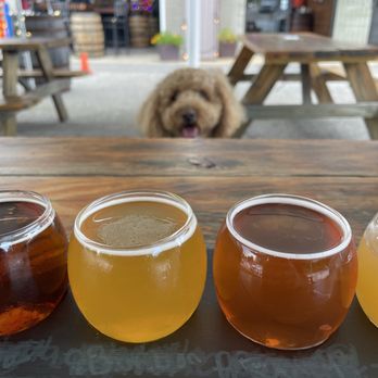 Outer Light Brewing Company - Dog's eye view - Breweries Near Me - Groton, Connecticut Outer Light Brewing Company - Dog's eye view - Breweries Near Me - Groton, Connecticut