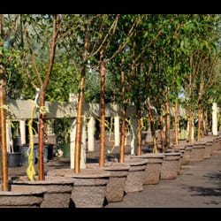 H & R Landscaping