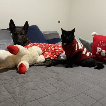Modern Pet Salon - Ballantyne - Dali and Binx - Pet Groomers Near Me - Charlotte, North Carolina Modern Pet Salon - Ballantyne - Dali and Binx - Pet Groomers Near Me - Charlotte, North Carolina