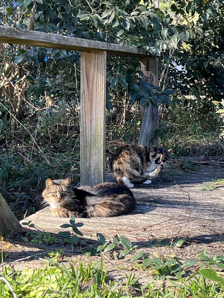 FLETCHER’S AND COMPANY ANTIQUES AND RUGS Updated August 2024 178