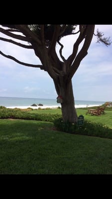 Broad Beach Rd by null