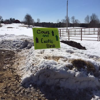 Cooper's Farm - Horse Boarding Near Me - Windham, Maine