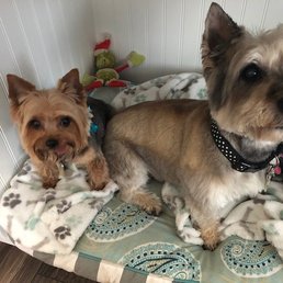 Beautifully clean and groomed to perfection!!