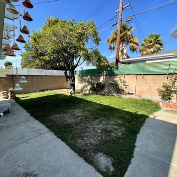 TS Landscaping - Before - Landscaping Near Me