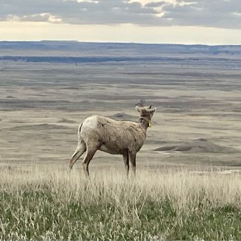 Badlands National Park - Parks Near Me - Interior, South Dakota Badlands National Park - Parks Near Me - Interior, South Dakota