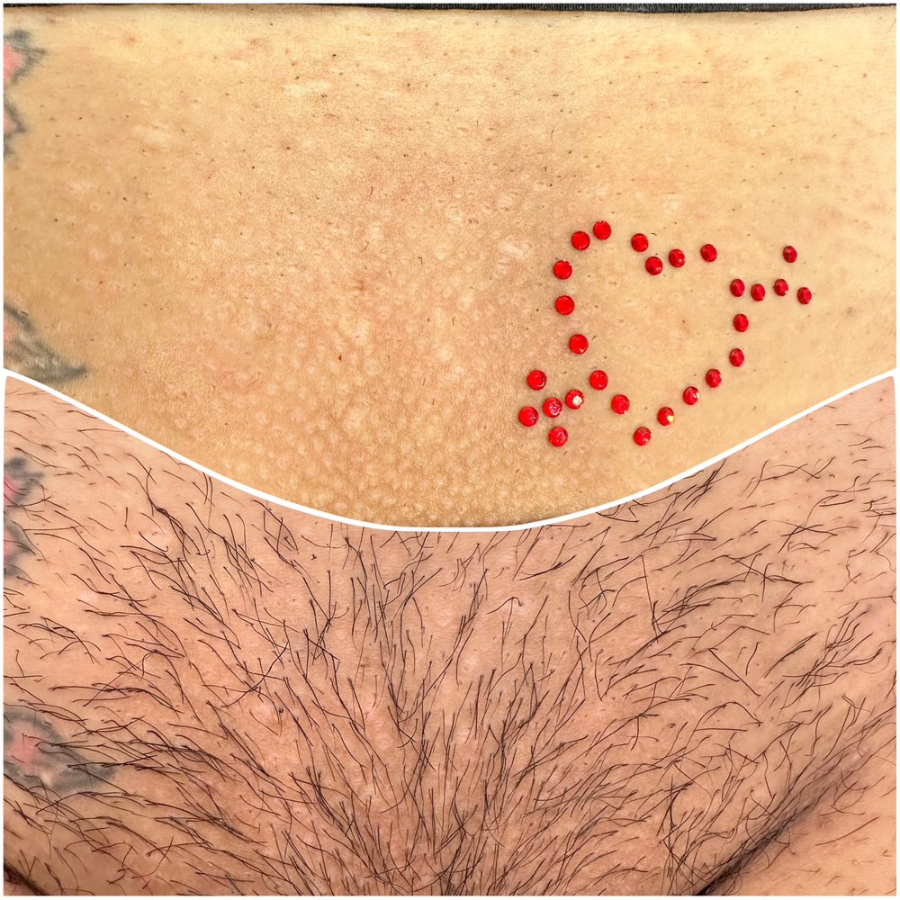 The Skin Studio Logo