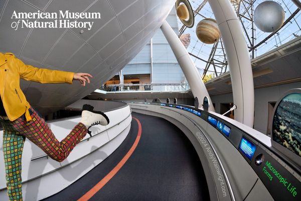 Rose Center for Earth and Space