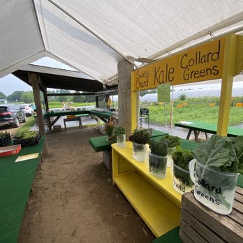 29th Street Farm Stand - Swiss chard was good. Many different types of freshly picked Kale. - Pick Your Own Farms Near Me - Paw Paw, Michigan 29th Street Farm Stand - Swiss chard was good. Many different types of freshly picked Kale. - Pick Your Own Farms Near Me - Paw Paw, Michigan
