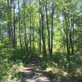 Nature View Park - The park is a lot of this - Parks Near Me - Buffalo, New York