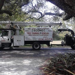 Kevin Witcombe's Tree Works