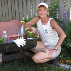 Garden bug - The owner