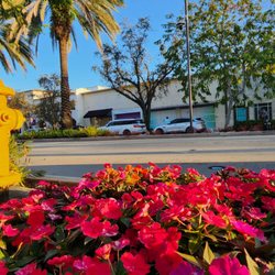 Downtown Coral Gables & Miracle Mile
