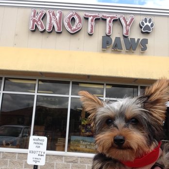 Knotty Paws - Thank you Liz for my first ever hair cut, I love it! Your the best. Scout. - Pet Groomers Near Me - Sartell, Minnesota Knotty Paws - Thank you Liz for my first ever hair cut, I love it! Your the best. Scout. - Pet Groomers Near Me - Sartell, Minnesota