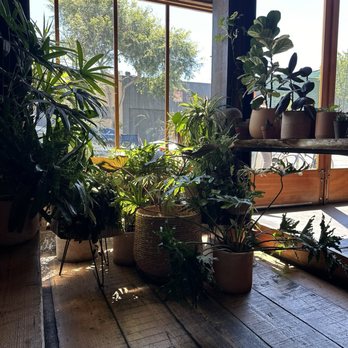Stable Cafe - The view from the line - Breakfast & Brunch Near Me - San Francisco, California Stable Cafe - The view from the line - Breakfast & Brunch Near Me - San Francisco, California