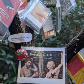 Henry Miller Memorial Library - Trees and walls are decorated with books outside. - Bookstores Near Me - Big Sur, California