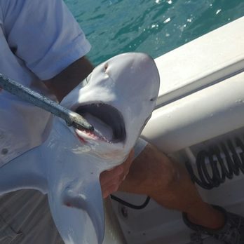 Captain Gregg Fishing Charters - Boat Charters Near Me - Sarasota, Florida