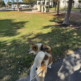Morgan Park - Doggie - Playgrounds Near Me - Baldwin Park, California Morgan Park - Doggie - Playgrounds Near Me - Baldwin Park, California