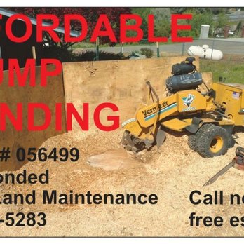 Trocki Land Maintenance - a picture of a stump grinding machine - Tree Services Near Me Trocki Land Maintenance - a picture of a stump grinding machine - Tree Services Near Me