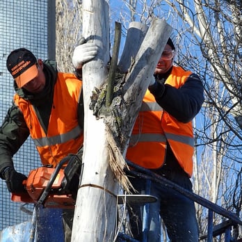 Big Timber Tree Service - Tree Services Near Me - Marlton, New Jersey Big Timber Tree Service - Tree Services Near Me - Marlton, New Jersey