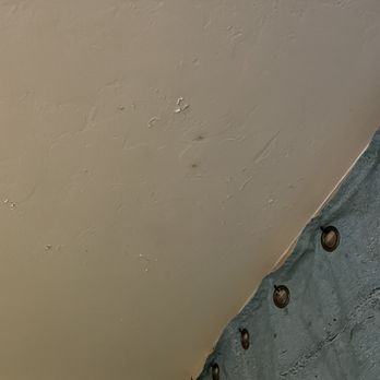 Havana Cabana - Roof was moldy - Resorts Near Me - Key West, Florida Havana Cabana - Roof was moldy - Resorts Near Me - Key West, Florida