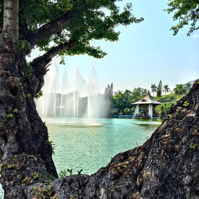 Taichung Park by null