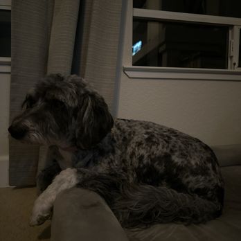 Petco - Pet Stores Near Me - Folsom, California