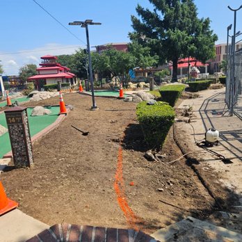 Giraffe Tree & Landscaping Services - Staring a new project! - Tree Services Near Me Giraffe Tree & Landscaping Services - Staring a new project! - Tree Services Near Me