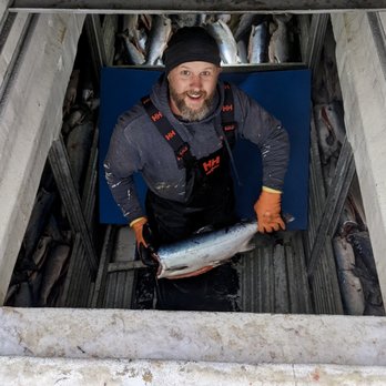 Fisherman's Market - Owned and operated by commercial fishermen, Fisherman's Market is your best option for fresh seafood. - Seafood Markets Near Me - Nelson, British Columbia