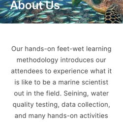 New Logic Marine Science Camp - New Logic Marine Science Camp