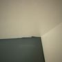 Photo of LVS Custom Painters