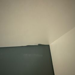 LVS Custom Painters - Didn't cover the cabinet well.