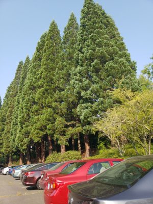 Mt. Hood Community College by null