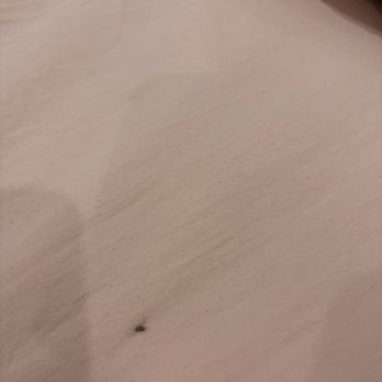 Warner Hotel - bugs - Hotels Near Me - Bisbee, Arizona