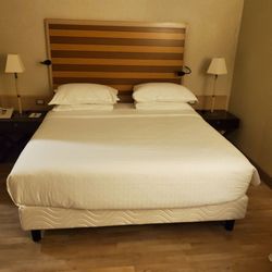 Sheraton Parco de' Medici Rome Hotel
