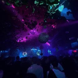 Jamboree - Dance floor