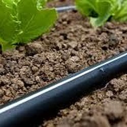 Rise Irrigation - Rise Irrigation Inc