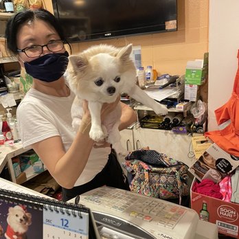Million Restaurant - The food is great, and they have such a cute chihuahua! - Korean Near Me - Honolulu, Hawaii Million Restaurant - The food is great, and they have such a cute chihuahua! - Korean Near Me - Honolulu, Hawaii