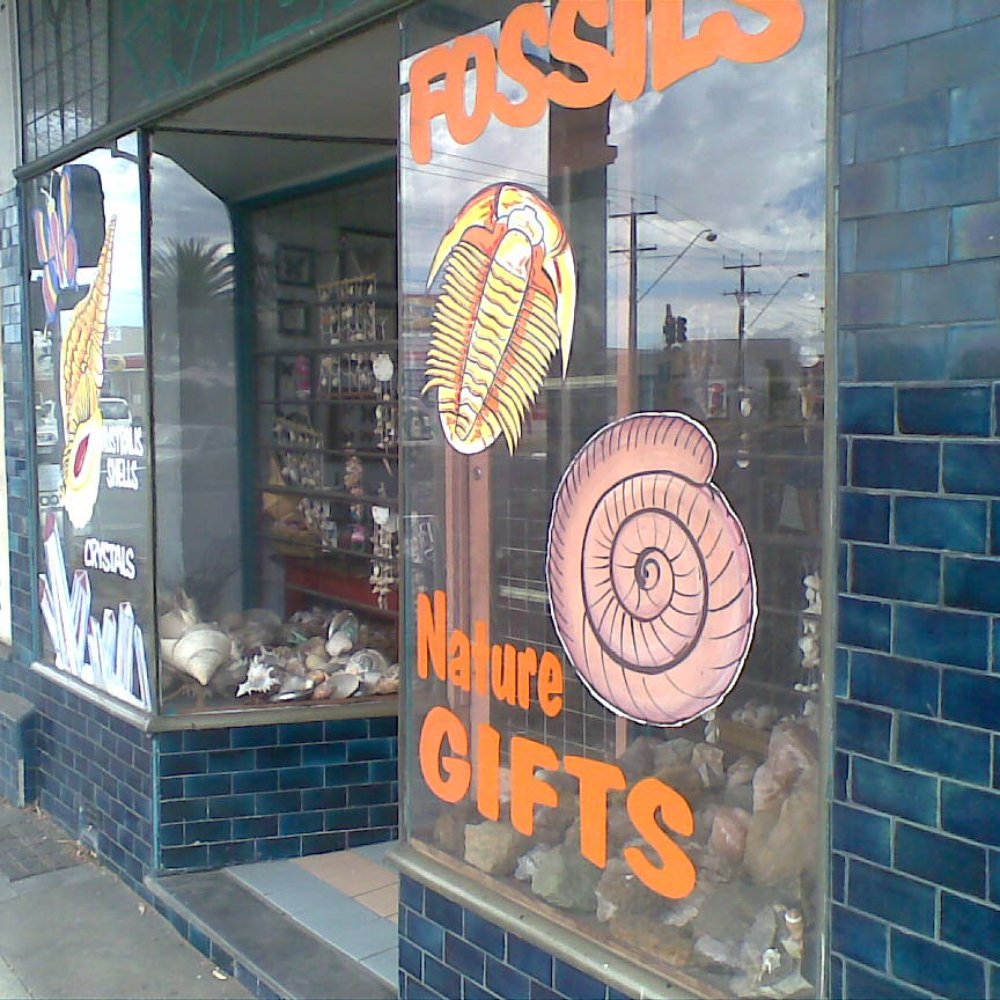 Naturally Wild - Gift Shops Near Me - College Park, SA