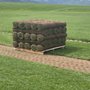 Photo of Star Valley Sod