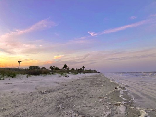 Jekyll Island by null