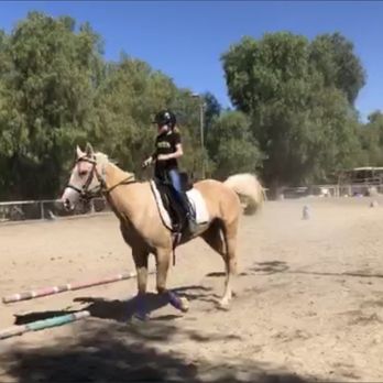 Total Equestrian Experience - Horseback Riding Near Me - Chatsworth, California Total Equestrian Experience - Horseback Riding Near Me - Chatsworth, California